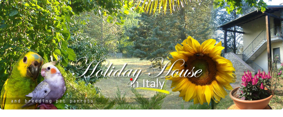 Holiday house in Italy between Bologna and Florence and breeding pet parrots - www.ilgiardinoincantato.it/en